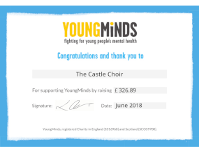 YoungMinds fundraising poster